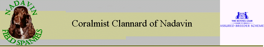 Coralmist Clannard of Nadavin
