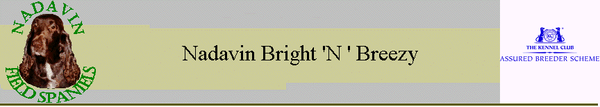 Nadavin Bright 'N ' Breezy