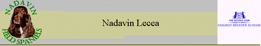 Nadavin Lecea