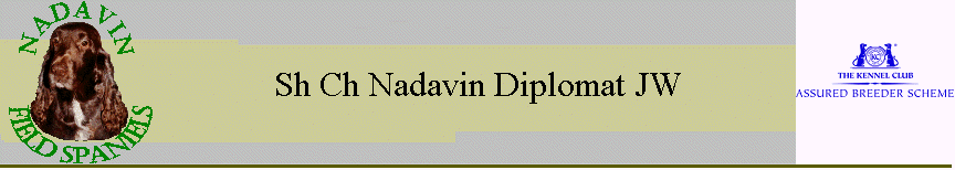 Sh Ch Nadavin Diplomat JW
