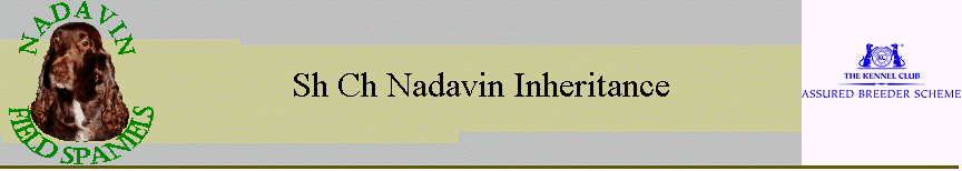 Sh Ch Nadavin Inheritance