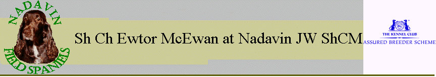 Sh Ch Ewtor McEwan at Nadavin JW ShCM