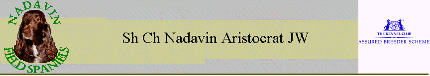 Sh Ch Nadavin Aristocrat JW