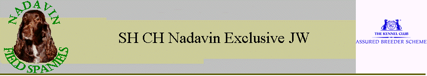 SH CH Nadavin Exclusive JW