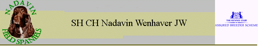 SH CH Nadavin Wenhaver JW