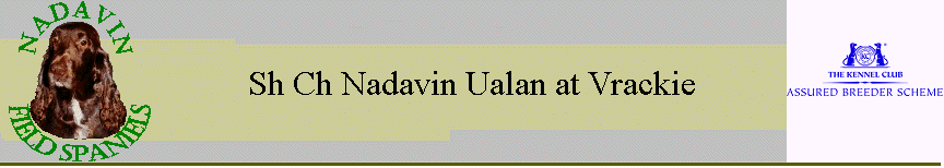 Sh Ch Nadavin Ualan at Vrackie