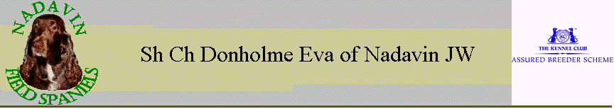 Sh Ch Donholme Eva of Nadavin JW