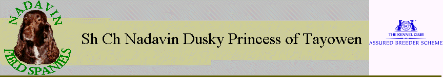 Sh Ch Nadavin Dusky Princess of Tayowen