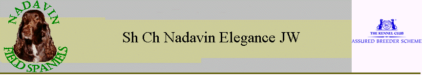 Sh Ch Nadavin Elegance JW