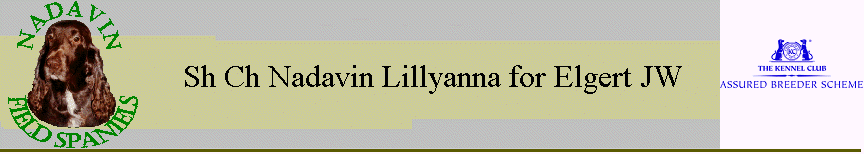 Sh Ch Nadavin Lillyanna for Elgert JW