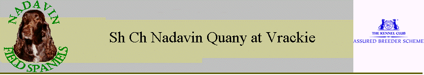 Sh Ch Nadavin Quany at Vrackie