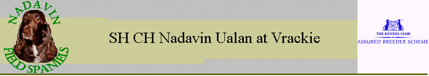SH CH Nadavin Ualan at Vrackie