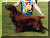 Sh Ch Nadavin Danielle.gif (95058 bytes)