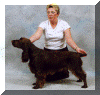 Sh Ch Nadavin Julianna JW ShCM.gif (179624 bytes)