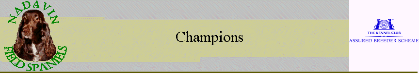 Champions