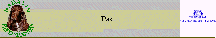 Past