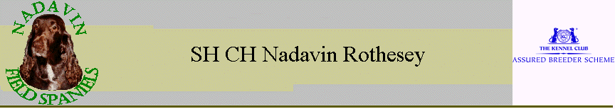 Nadavin Rothesey