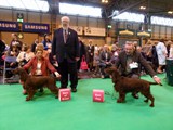 Lara & Laclan Crufts 2015