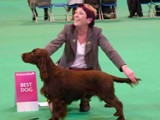 Laclan Crufts 2012