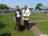 Leeonvale Puppy Trophy WELK's 2011