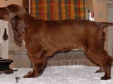 Nadavin Lecea (6 months)